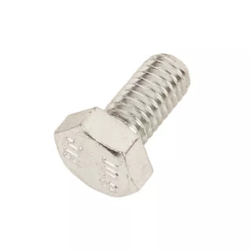 (111) IA-00161 IAME Leopard Starter Ring Gear Screw 6mm x 12mm
