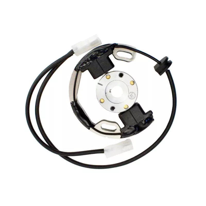 (276A) A-61951A IAME KA100 Ignition Stator with Magneto Rotor